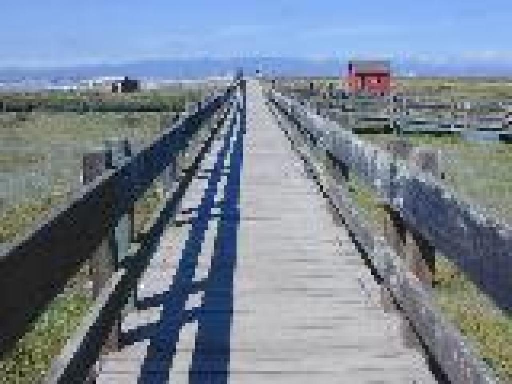 Boardwalk