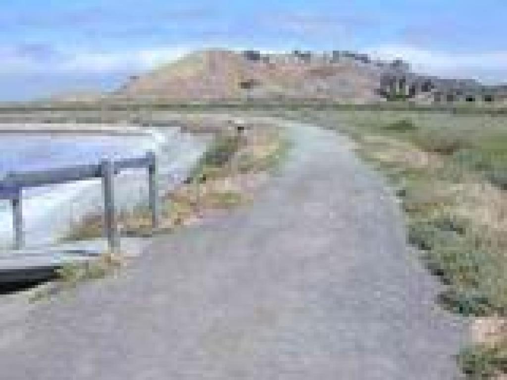 Newark Slough Loop Trail