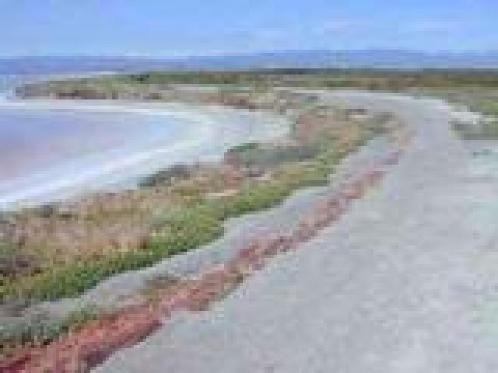 Trail