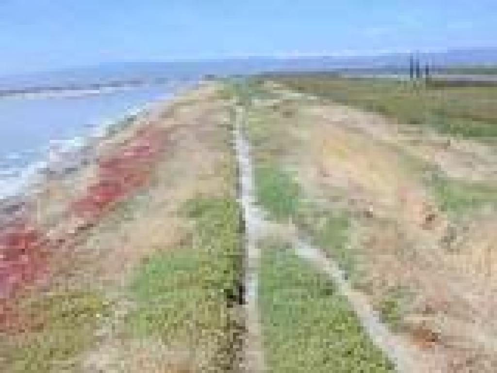 Trail