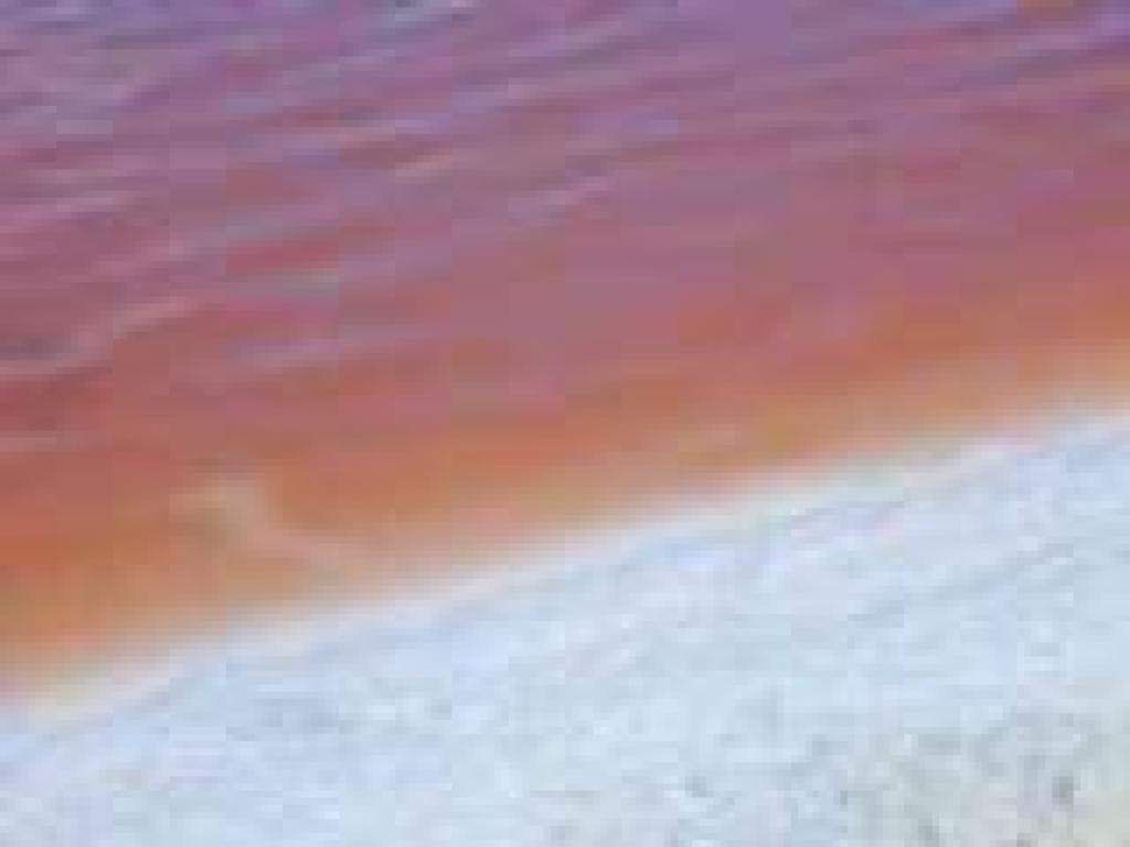 Foam