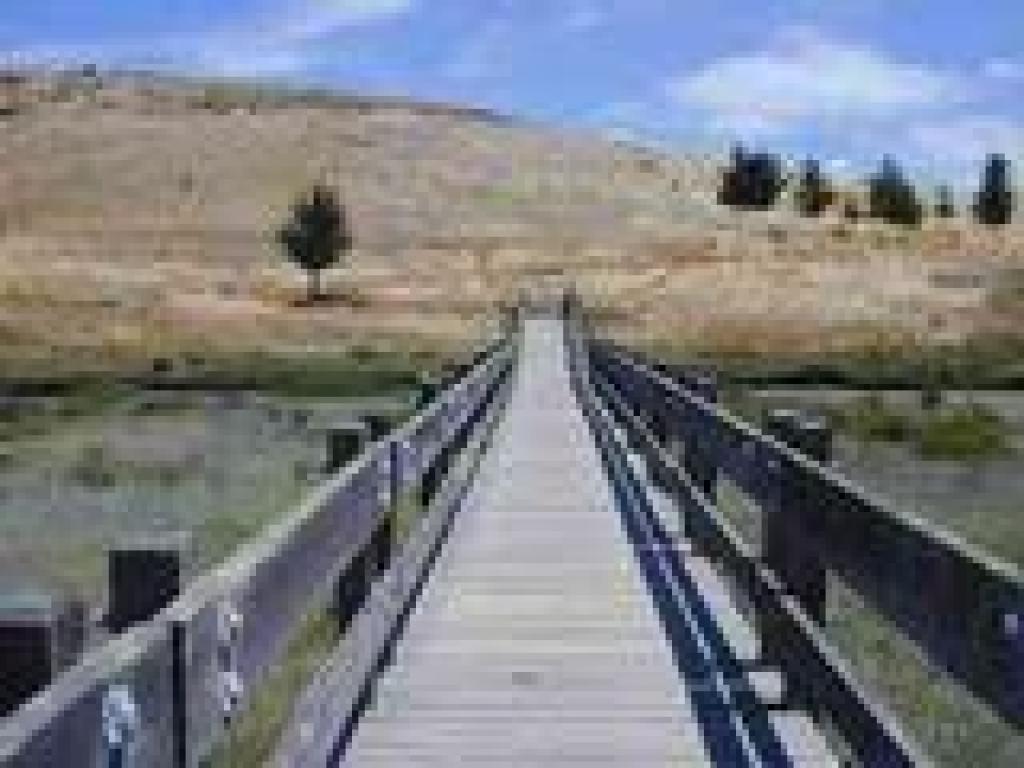 Bridge