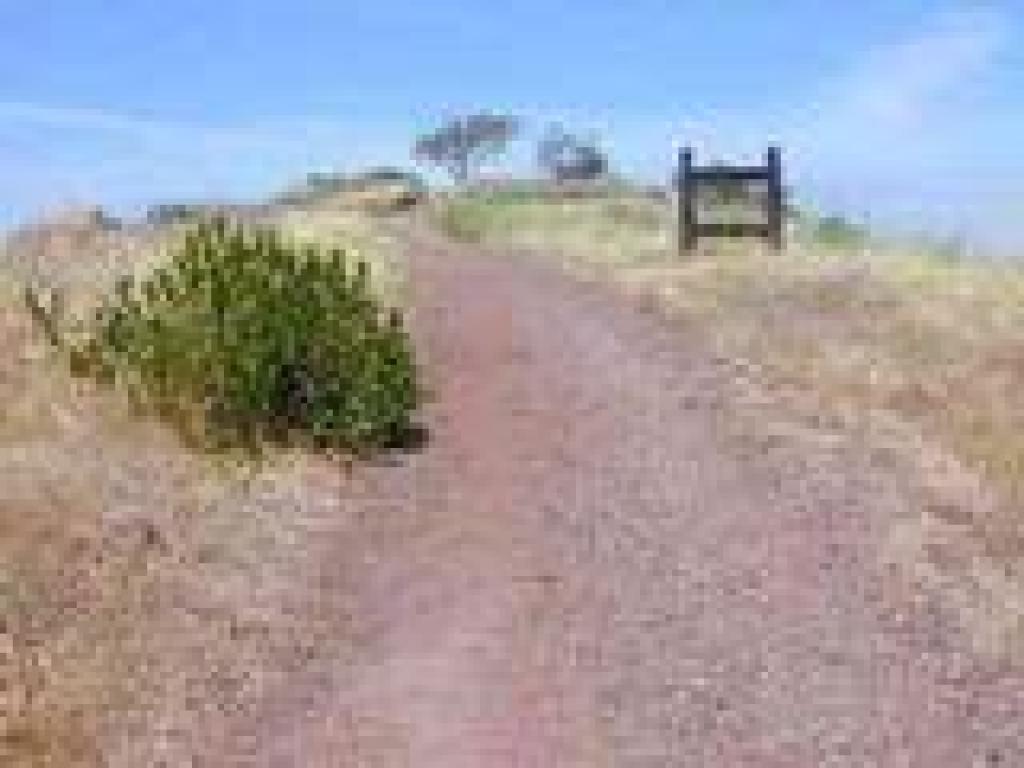 Tidelands Trail