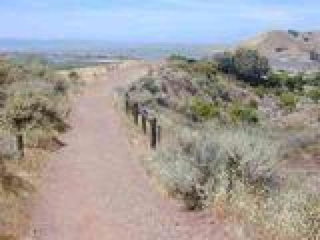 Tidelands Trail