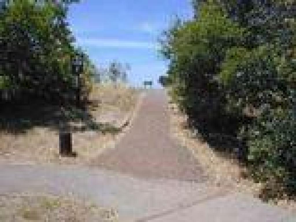 Path to trails