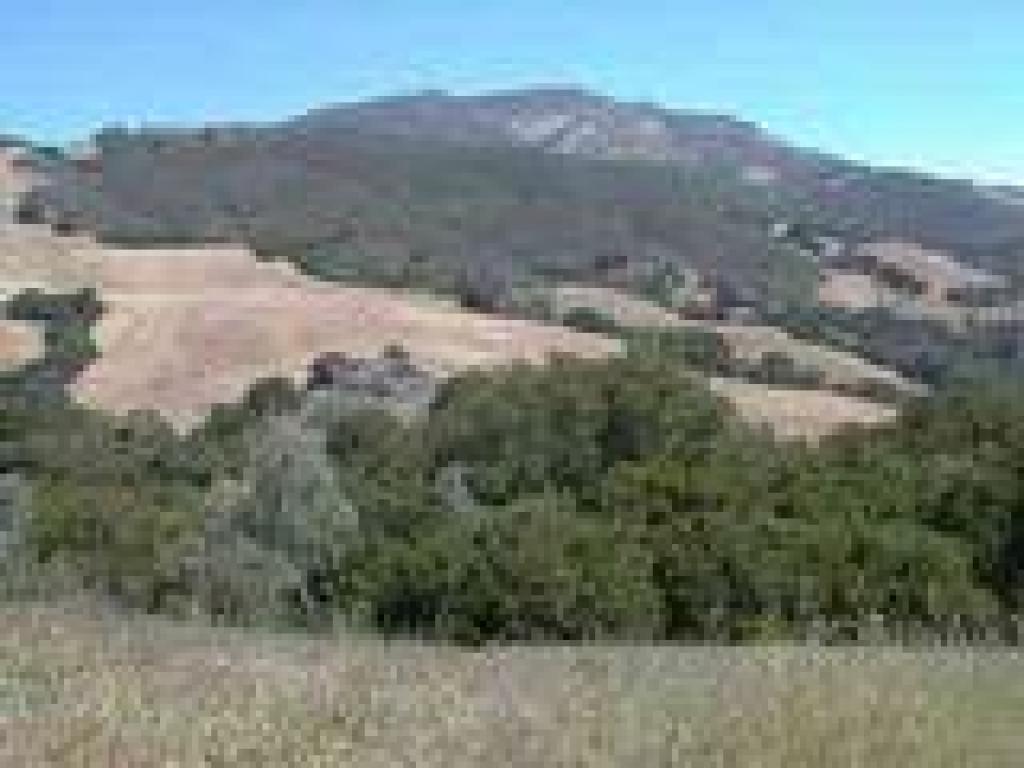 View to the summit