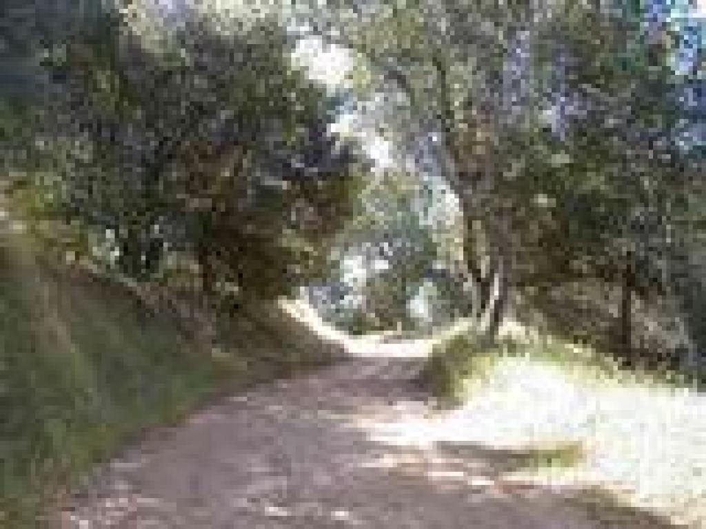 Short shaded uphill
