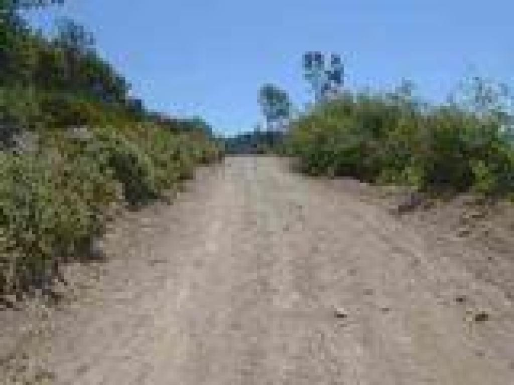 Through chaparral