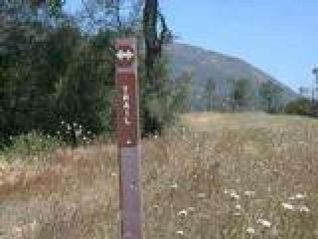 Spur path