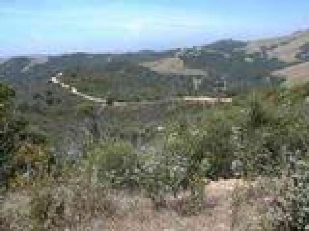 View back toward the trailhead