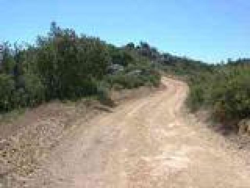 Knobcone Point Road