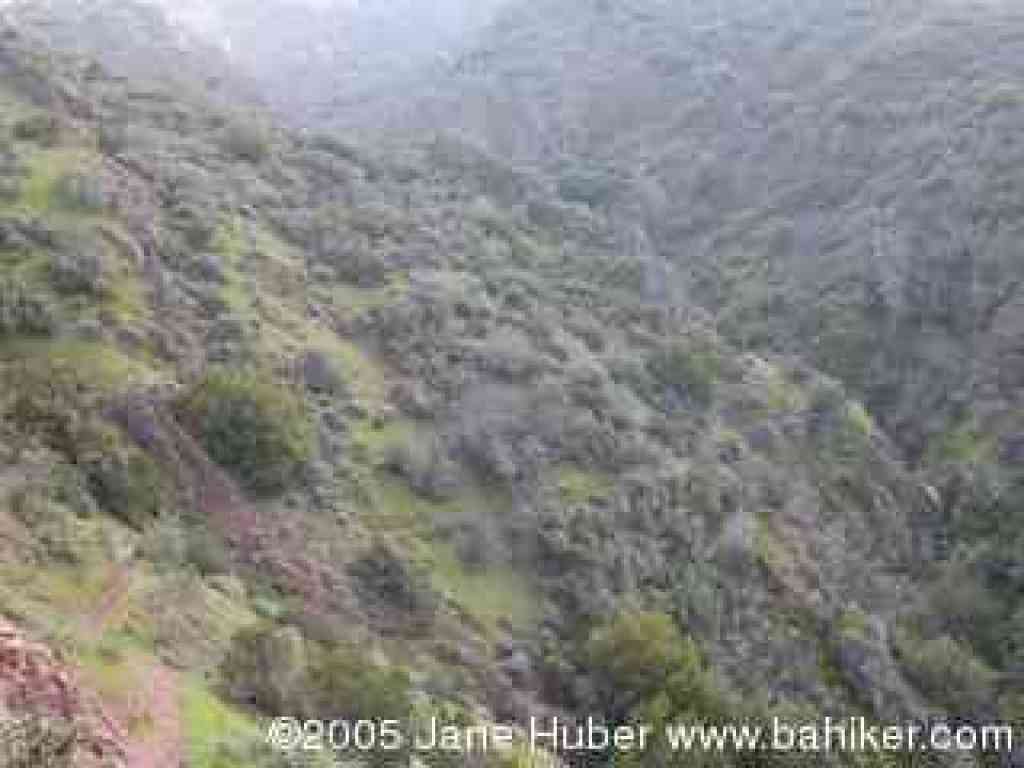 Falls Trail