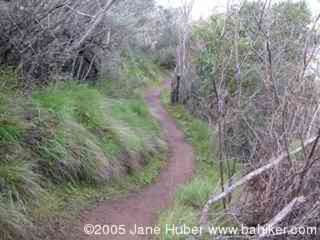 Falls Trail
