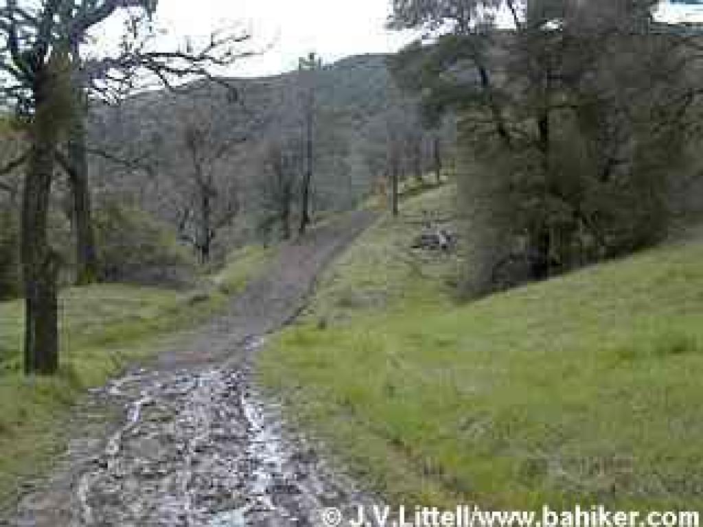 Grade picks up on Donner Canyon Trail
