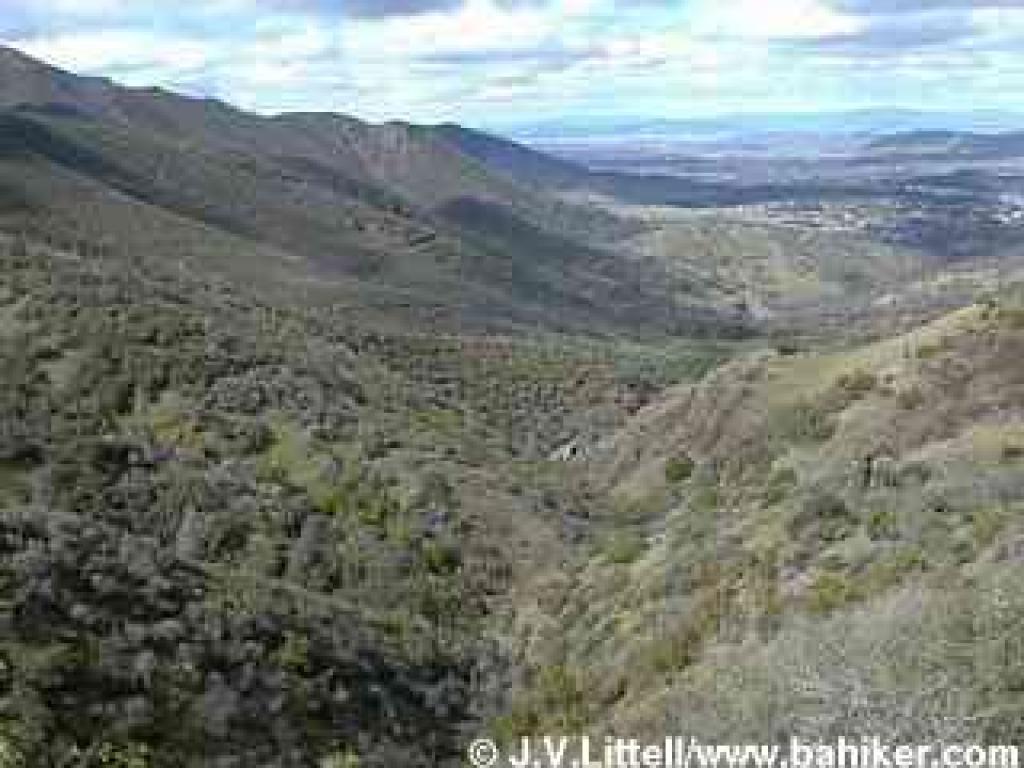 View north out of the canyon