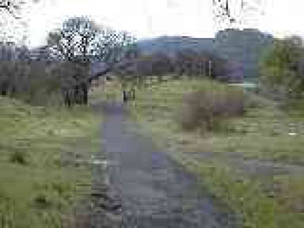 Path to the state park