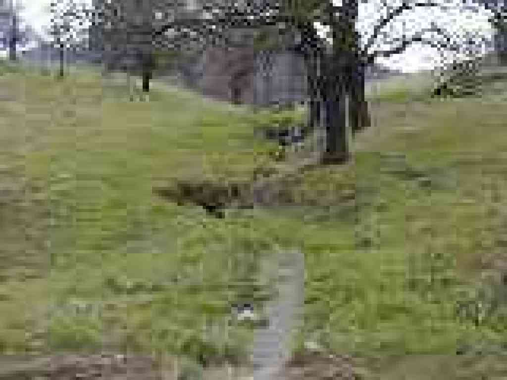Winter rain runoff
