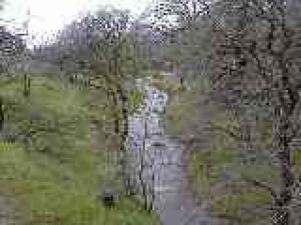 Donner Creek