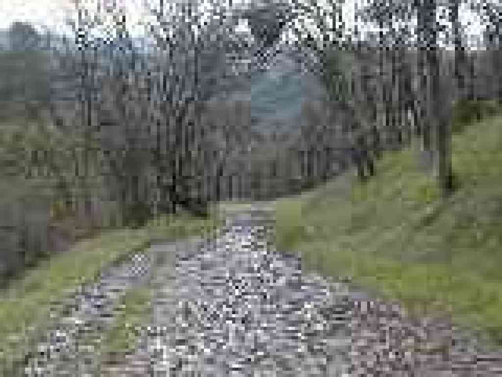 Muddy