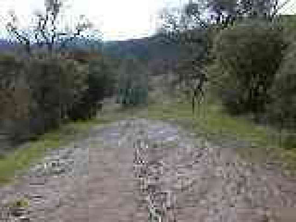 Junction