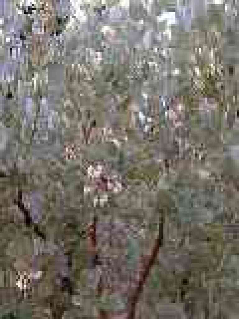 Manzanita