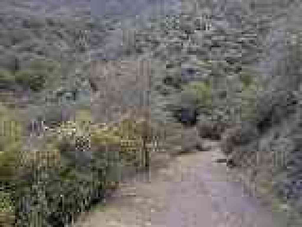 Cardinet Oaks Road
