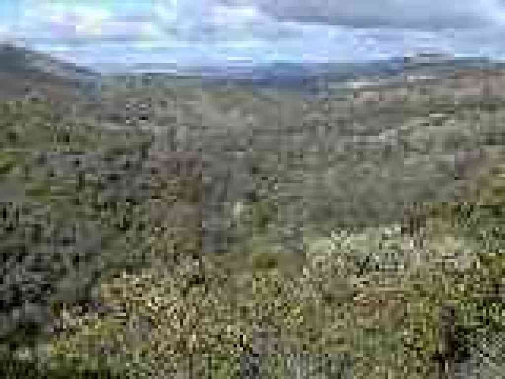 View back to the north