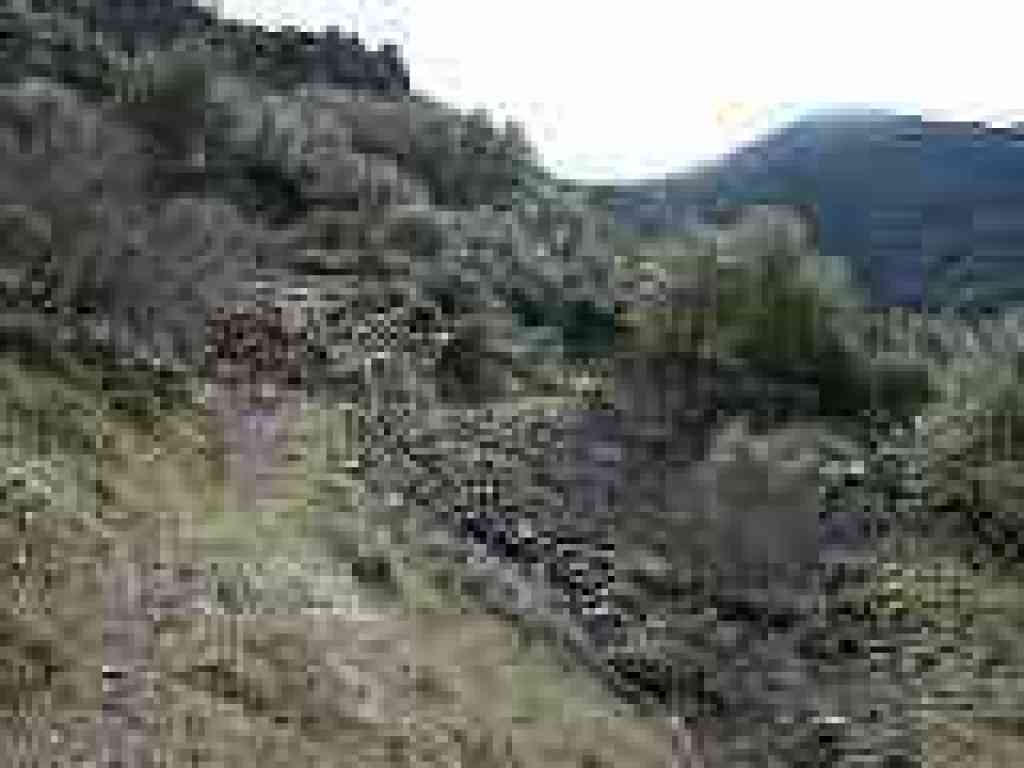 Falls Trail