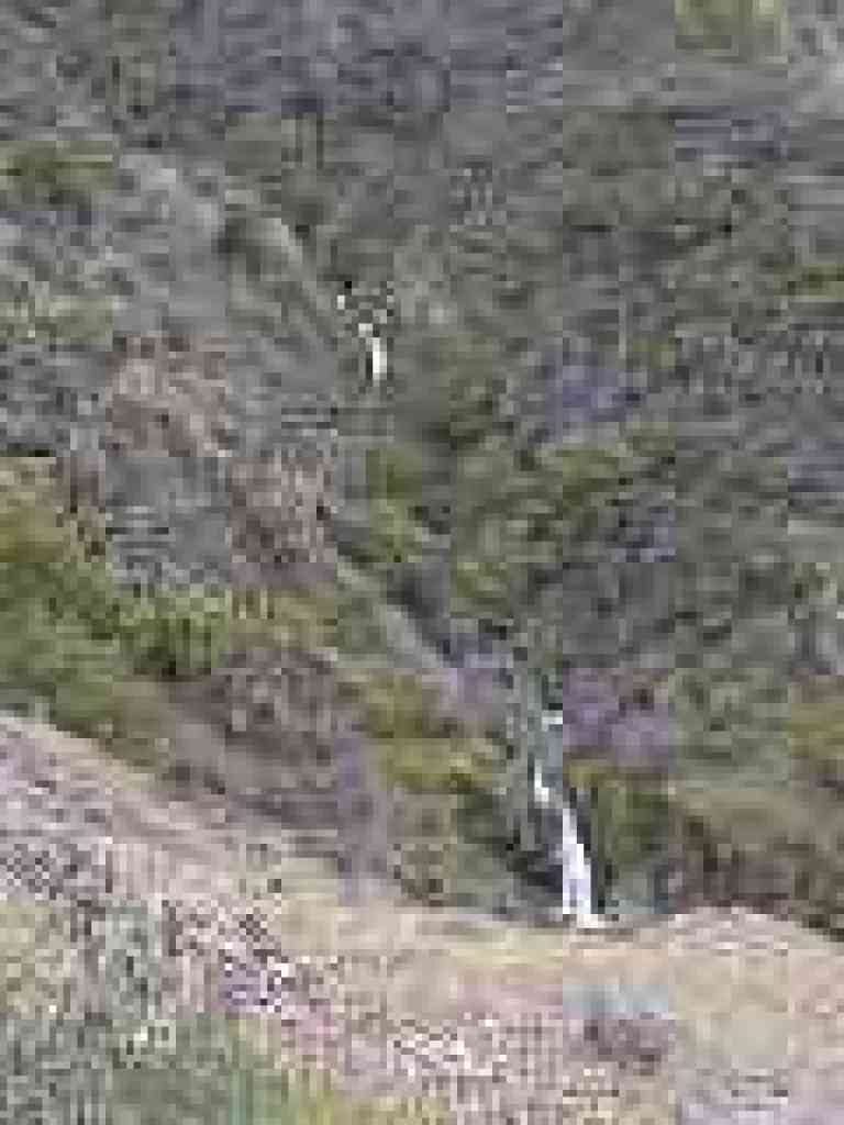 Falls