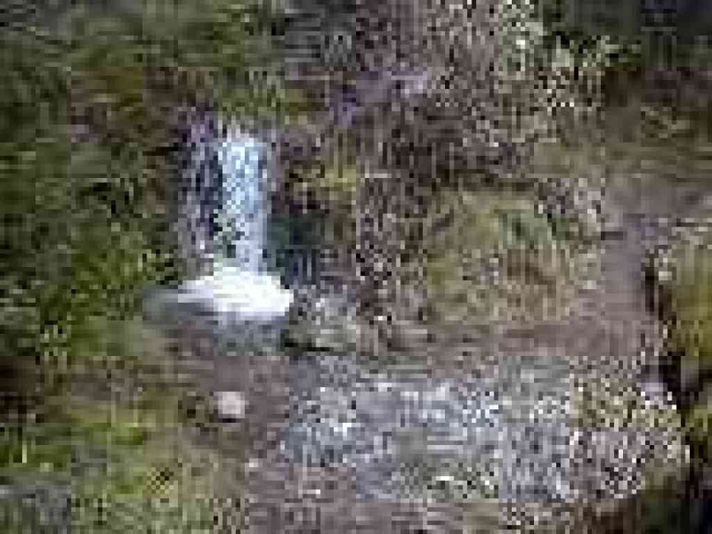 Creek crossing