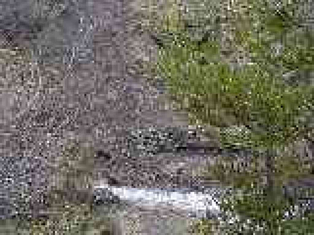 Creek crossing