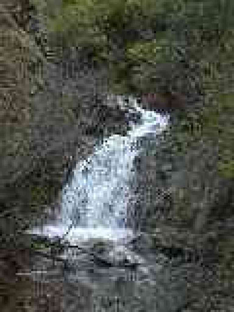 Falls