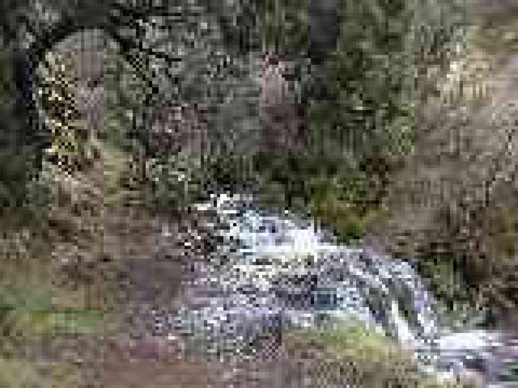 Creek crossing