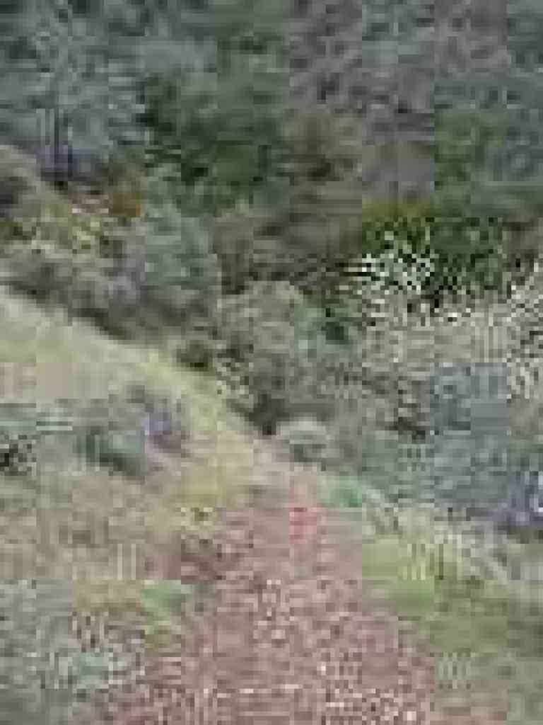 Descending to creek crossing