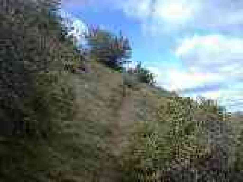 Falls Trail