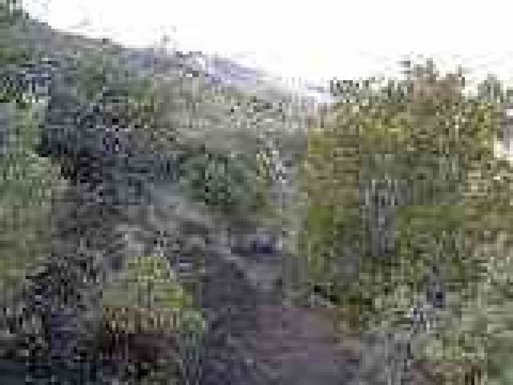 Middle Trail