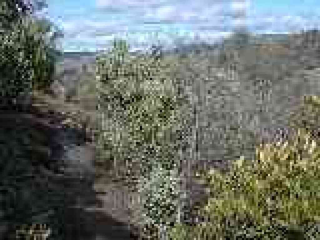 Middle Trail
