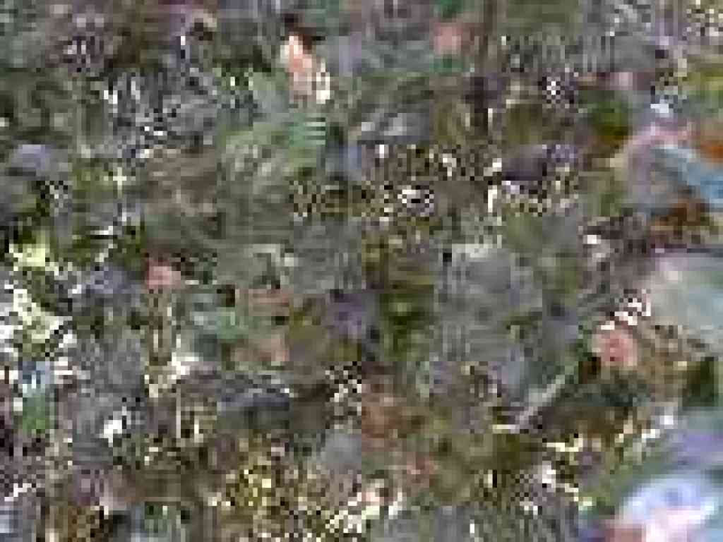 Oak