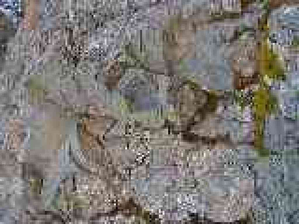 Greywackle