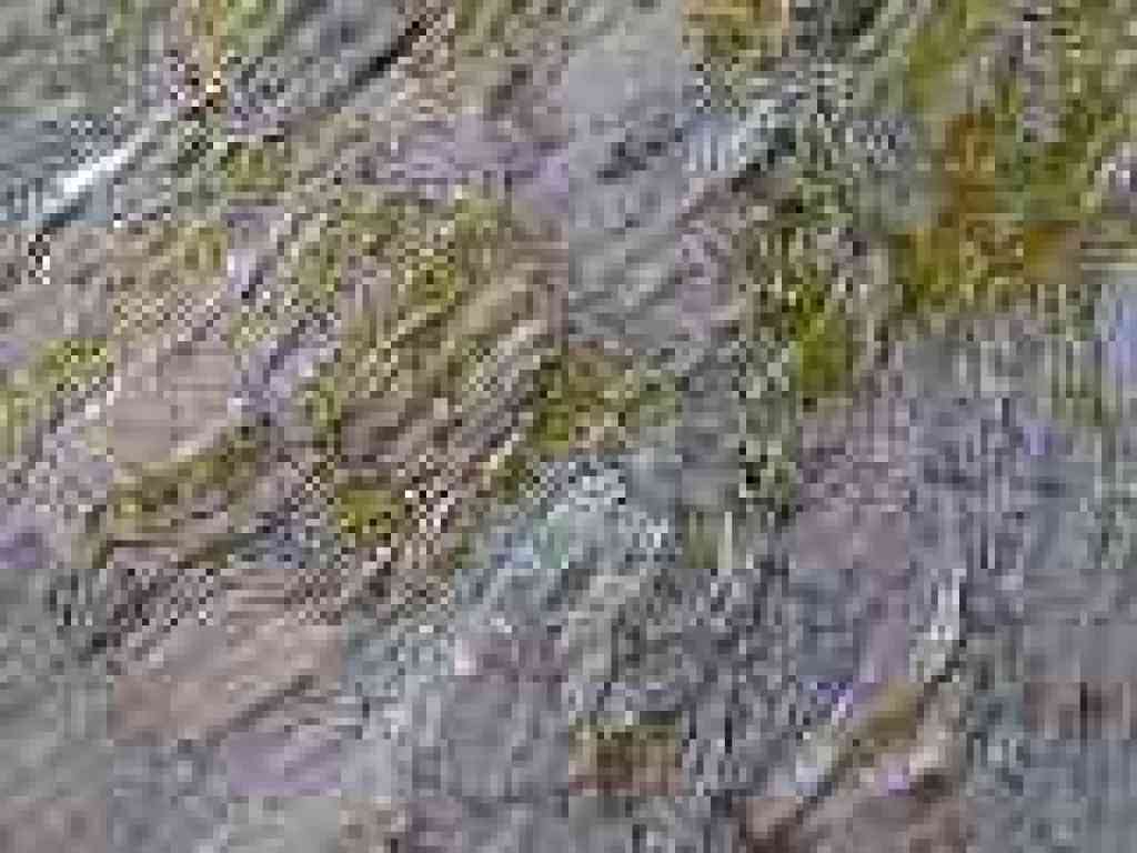 Chert