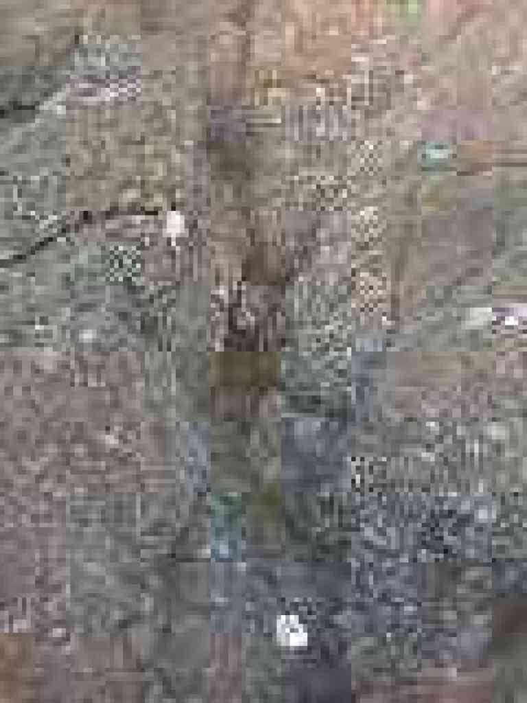 Chert, greywackle, and shale