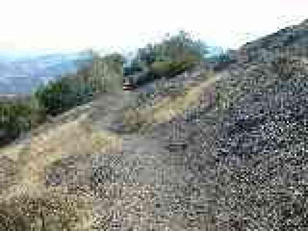 Leaving chaparral