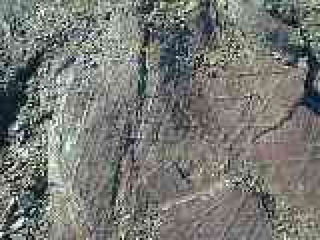 Rock