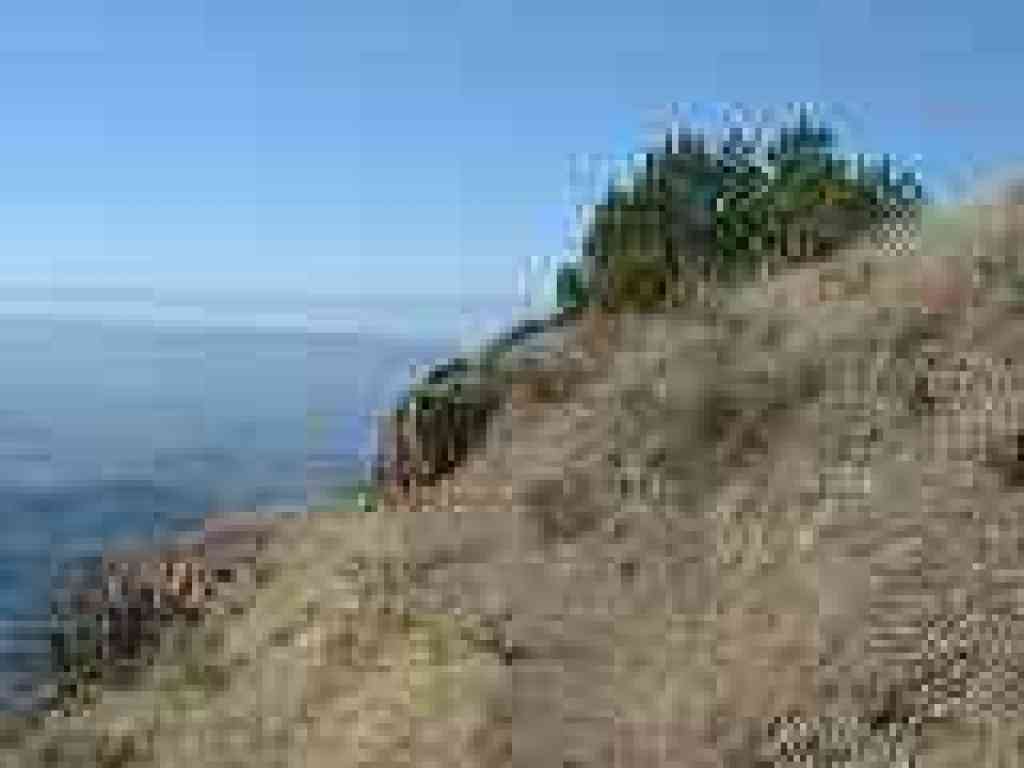 Fire Interpretive Trail