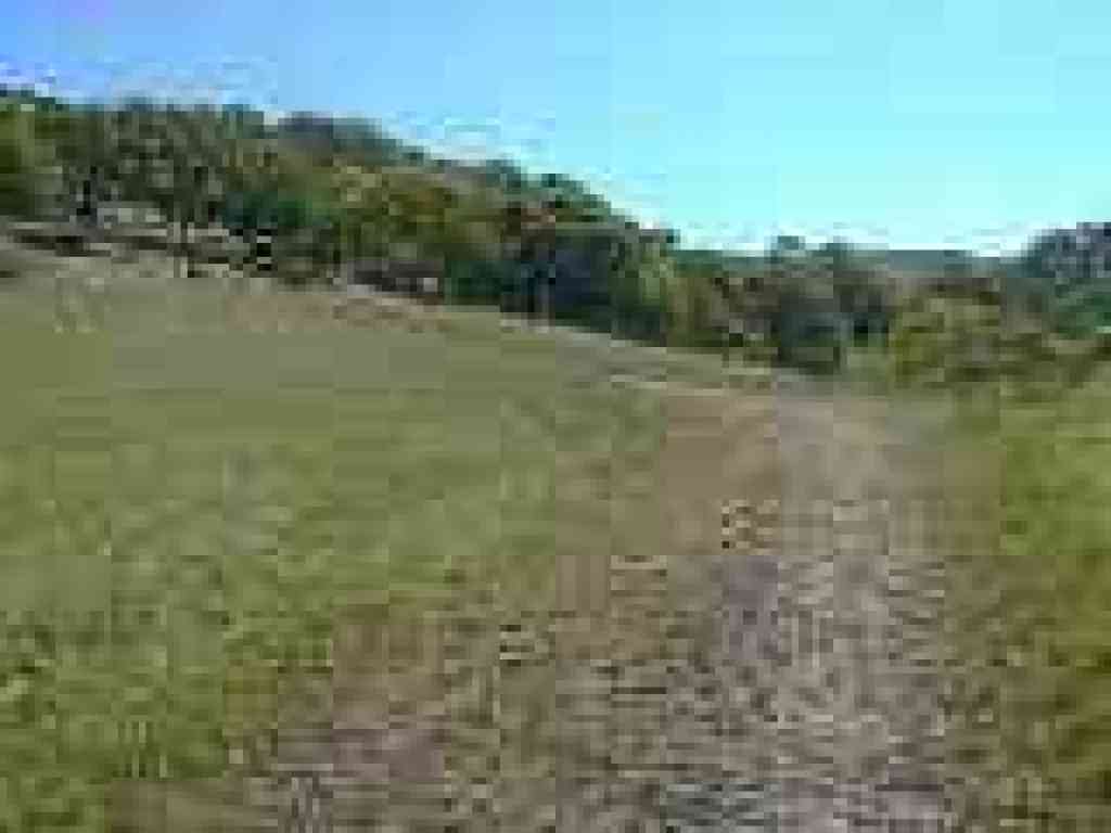 Trail curves left