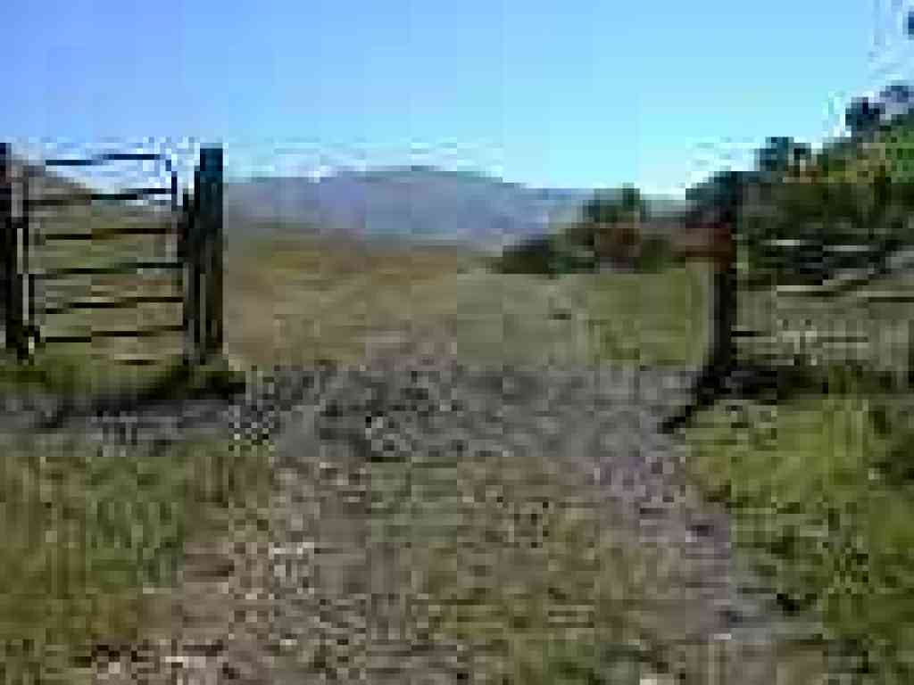 Gate