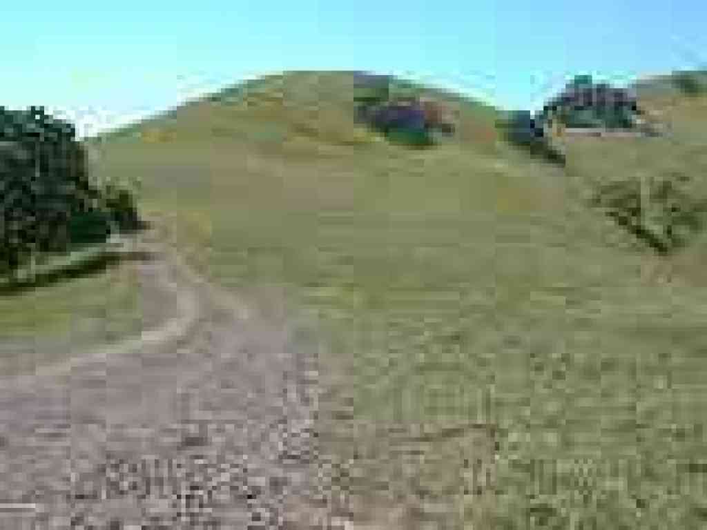 Briones to Mount Diablo Trail