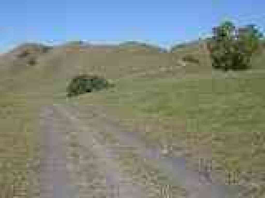 Back on Briones to Mount Diablo Trail