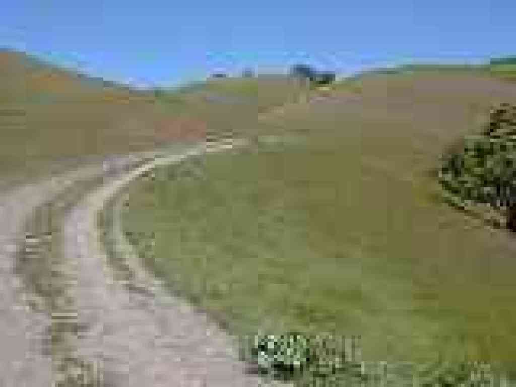 Briones to Mount Diablo Trail