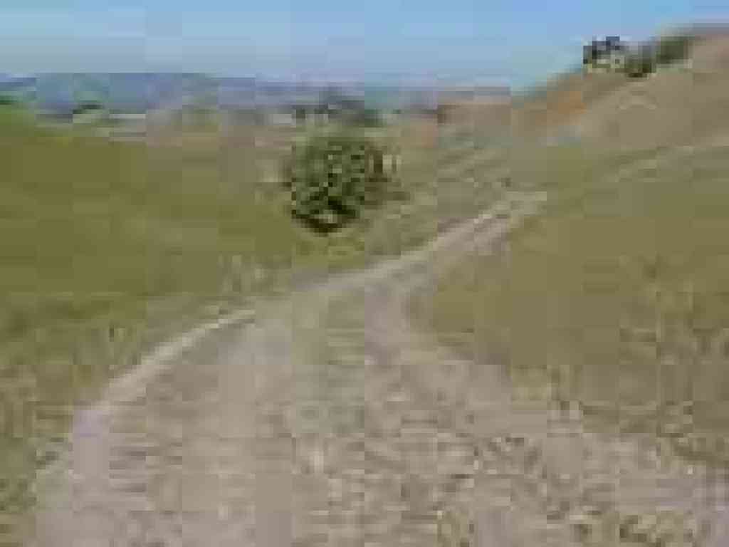 Briones to Mount Diablo Trail